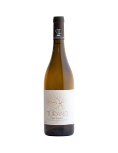 Turano Etna Bianco 2021 - Turi Eccellenze dell'Etna