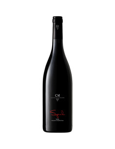 Syrah 2020 - Castellucci Miano