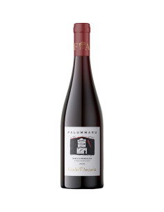 Palummaru Etna Rosso 2020 - Feudo Arcuria