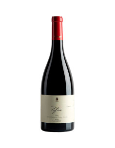 Tifeo Rosso 2019 - Gambino