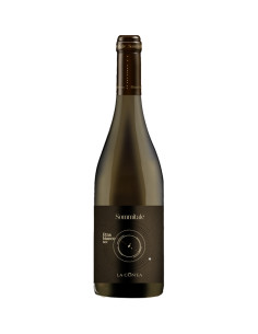 Sommitale Etna Bianco 2020 - La Contea