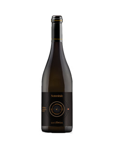 Sommitale Etna Rosso 2020 - La Contea