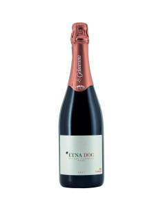 Metodo Classico Etna Brut Rosé 2022 - La Gelsomina