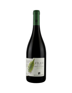 Filici Etna Bianco 2020 - Nicola Gumina