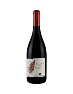 Filici Etna Rosso 2016 - Nicola Gumina
