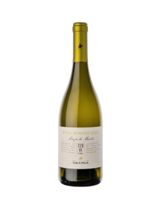 Lenza di Munti Etna Bianco 2021 - Nicosia