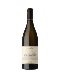 Uve D'agosto Bianco 2019 - Tenuta Incarrozza