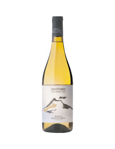 Jancu di Carpene 2021 - Tenuta Monte Gorna