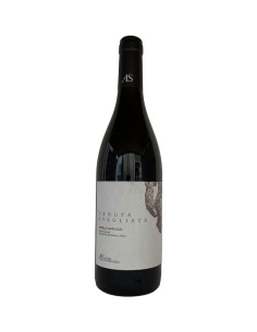 Cappuccio 2020 - Tenuta Stagliata