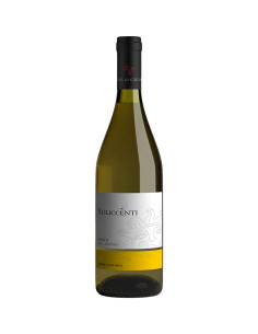 Sullicenti Grillo 2022 - Terre di Giurfo