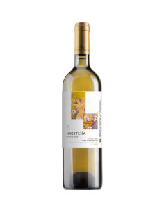 Sinestesia 2022 - Abbazia Santa Anastasia