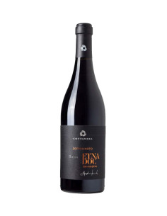 Etna Rosso Riserva Contrada Feudo Zottorinotto 2015 - Cottanera