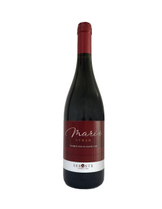 Syrah 2022 - Sebànte - Anima Vini