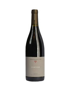 Cratere 2016 - Terrazze dell'Etna