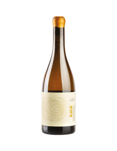 Milice Etna Bianco 2019 - Cantine di Nessuno