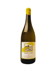 Rupestre Etna Bianco 2022 - Raciti