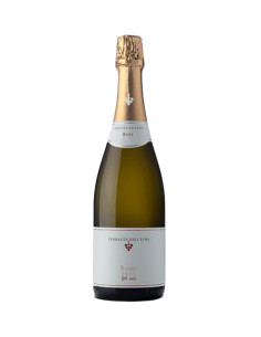 Metodo Classico Brut Blanc de Blancs Cuvee 50 mesi 2019 - Terrazze dell'Etna
