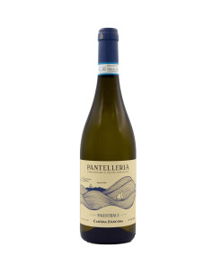 Maestrale 2023 - Cantina D'Ancona