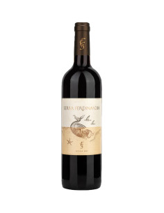 Serra Ferdinandea - Red - 2019 - 75 cl