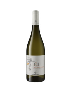 Costantino - Aria Muller Thurgau - 2022 - 75 cl
