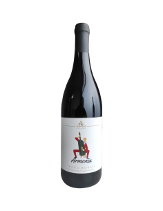 Montenero - Etna Rosso Harmony -2022 - 75 cl