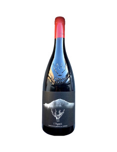 I Vigneri - Simone e Andrea Foti - Palmento & Anfora - 2023 - 75 cl
