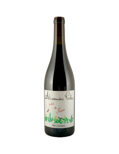 Alessandro Viola - Note di rosso - 2022 - 75 cl
