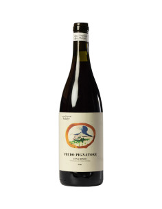 Emiliano Falsini - Feudo Pignatone Etna Red - 2021 - 75 cl