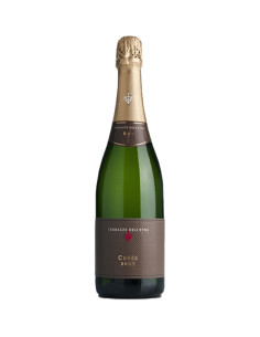 Terrazze dell'Etna - Sparkling Method Classic Brut Blanc de Blancs Cuvee - 2019 - 75 cl