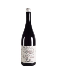 Calogero Caruana - White Wine - 2021 - 75 cl