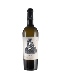 Mater Soli - Galateo Bianco - 2021 - 75 cl