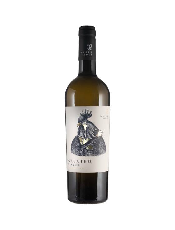 Mater Soli - Galateo Bianco - 2021 - 75 cl