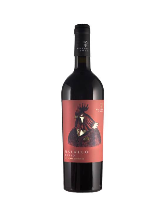 Mater Soli - Red Galateo - 2021 - 75 cl
