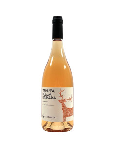 Cantoneri - Dainara Estate Orange wines - 2022 - 75 cl