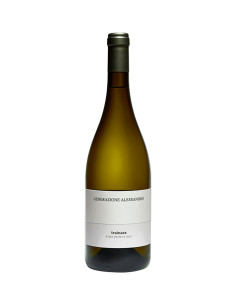 Generazione Alessandro - Trainara Etna White - 2021 - 75 cl