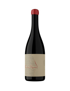 Martinico & Figli - Fra le Vigne Frappato - 2022 - 75 cl