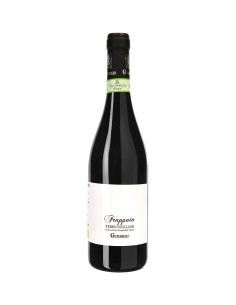 Gurrieri - Frappato - 2021 - 75 cl