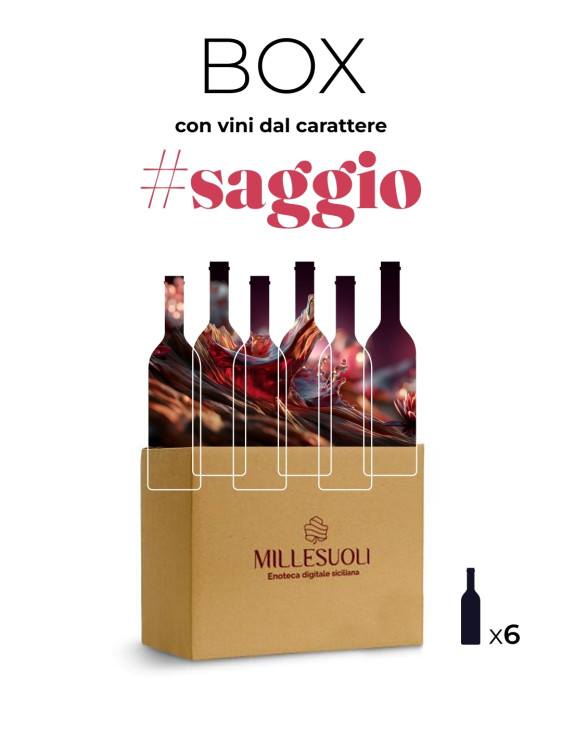 Box - Saggio